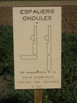 0_6.espaliers ondules